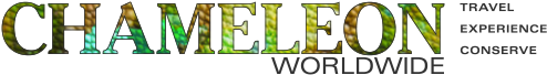 Chameleon Worldwide: Travel, Experience, Conserve